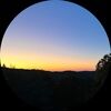 mdfrommd6